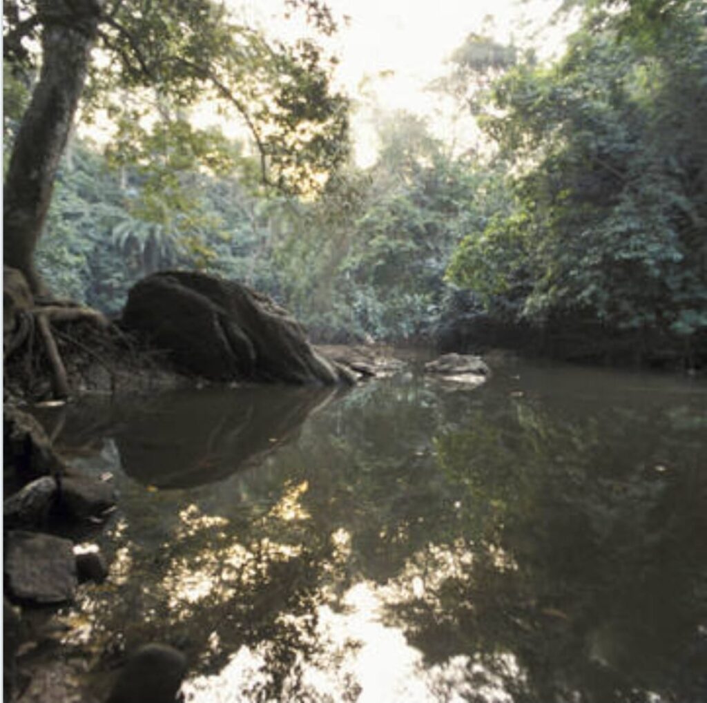 WhatsApp Image 2025 02 26 At 1.00.21 PM 1024x1018