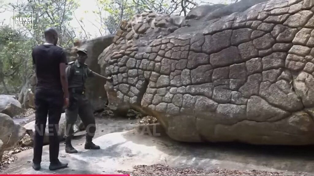 WhatsApp Image 2025 02 26 At 1.00.31 PM 1024x576