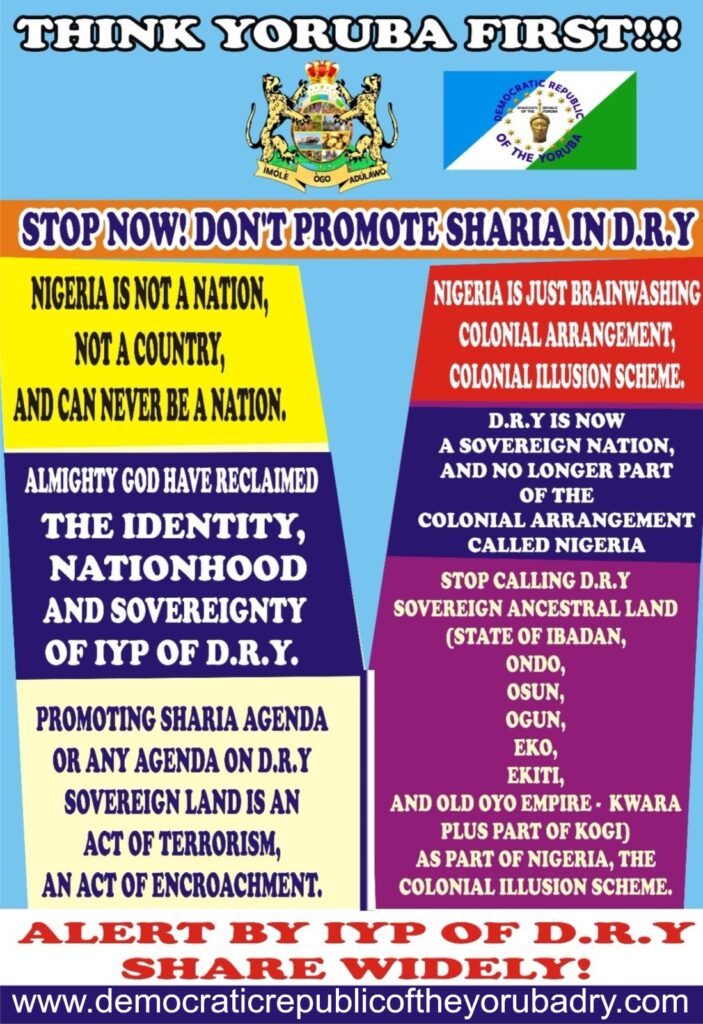 WhatsApp Image 2025 03 11 At 1.46.29 PM 703x1024